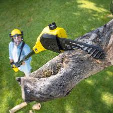 Best Emergency Tree Removal  in Goldthwaite, TX