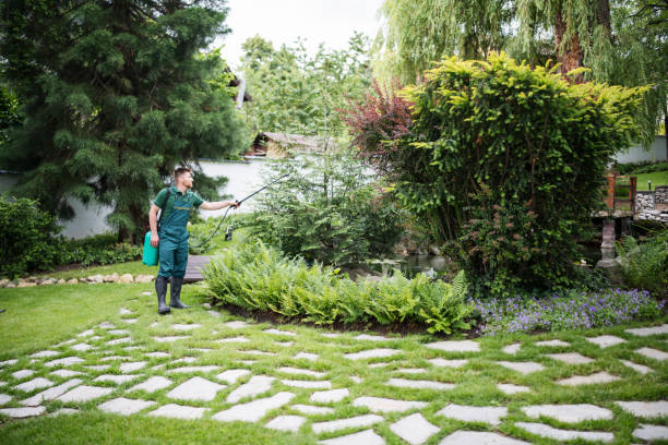 Best Organic Lawn Care Solutions  in Goldthwaite, TX